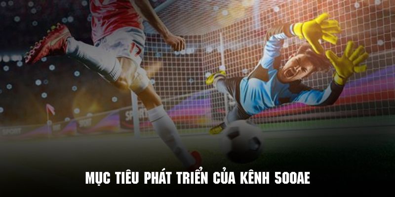 Kế hoạch phát triển dài lâu của kênh trực tiếp 500AE